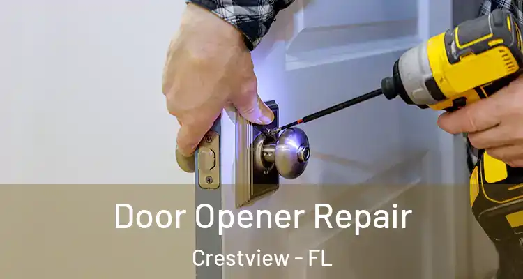  Door Opener Repair Crestview - FL