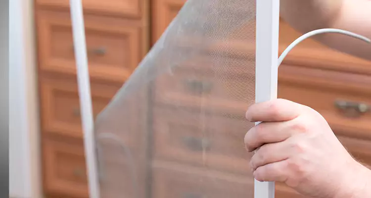 Privacy Mesh Screen Door Installation in Crestview, FL