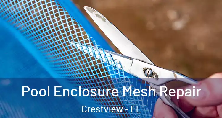  Pool Enclosure Mesh Repair Crestview - FL